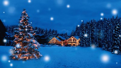 Beautiful Christmas Gift Holiday Merry Santa Snow Tree Winter Animals Bears HD Art Wallpaper  1080p 1920x1080 px