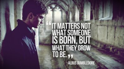 HD Wallpaper Albus Daniel Dumbledore Harry Potter Quotes by Radcliffe  1080p HD Desktop and Mobile Wallpapers