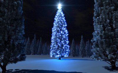 Blue Christmas Tree HD Wallpaper Festive Giant Tree Winter Holidays and Sparkling Lights