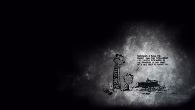 Calvin and Hobbes Cartoon Characters Wallpaper  HD 1080p Illustration with Copy Space