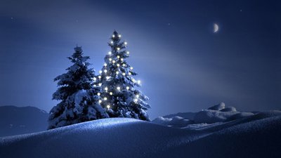 Rule of Third Painting Lighted Christmas Tree in Snowy Night  HD Wallpaper