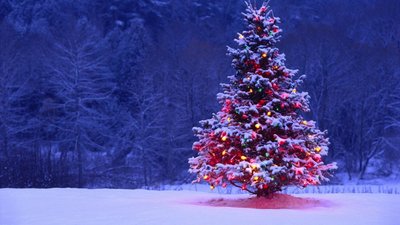 Christmas Snow Winter Holiday HD Wallpaper with Christmas Lights  Free Download 1080p 2K 4K 5K