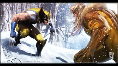 Wolverine and Sabertooth in Snowy Marvel Showdown Free HD Wallpaper Download