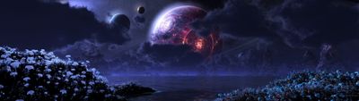 Stunning HD Wallpaper White Flower Lot in a SciFi Planet Night  Free Download 4K Widescreen