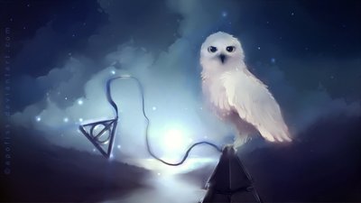 Fantasy Animals DeviantArt Harry Potter Owls Artwork  HD Wallpaper 1080p