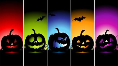 Spooky and Funny Halloween Jack O Lantern Wallpaper in HD 1080p  Free Download