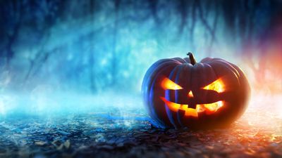 Spooky Halloween Wallpaper Jack O Lanterns Celebration and More in HD 5K Quality