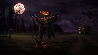 WQHD and HD Wallpaper Halloween Scarecrow 2014  Free Download for PC Mobile and Tablet  HighQuality Holiday Halloween Background