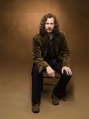 Harry Potter Actors Gary Oldman as Sirius Black  HD Wallpaper for Mobile Devices