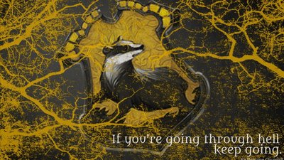 Harry Potter Badger Hufflepuff HD Wallpaper Wildlife and Architecture in 1080p