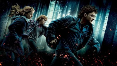 HD Wallpaper Harry Potter and the Deathly Hallows Part 1  Daniel Radcliffe Emma Watson Rupert Grint and More