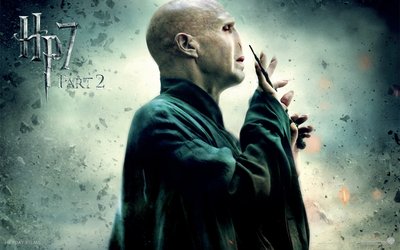 Harry Potter Hermione Voldemort HP7 Part 2 HD Wallpaper  Entertainment Movies Art