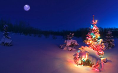 HD Christmas Tree Wallpaper Holiday Lights  Landscape in 1080p