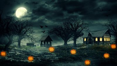 Spooky Jack O Lantern Wallpaper HD 4K Halloween Night Moonlight  More