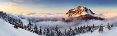 Snowy Mountain Landscape HD Wallpaper Mist Pine Trees and Tranquil Scenic Beauty in Nature