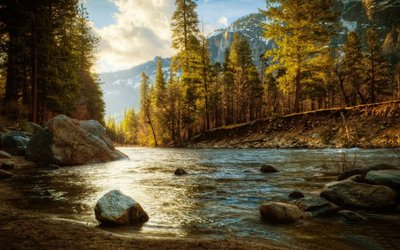 1080p HD Wallpaper Body of Water Near Green Trees and Leafy River