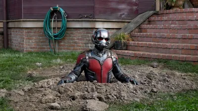 AntMan in Marvel Cinematic Universe HD Wallpaper Featuring Paul Rudd  Free Download 4K