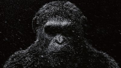 4K HD Wallpaper Gorilla Illustration in Dark  Planet of the Apes Dawn of the Planet of the Apes  Free Download