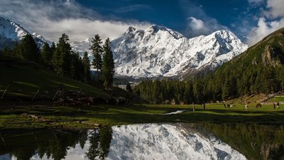 Snow Coated Mountain Wallpaper HD 1080p Mountains Forest Trees  Pakistan Scenic Beauty in Nature