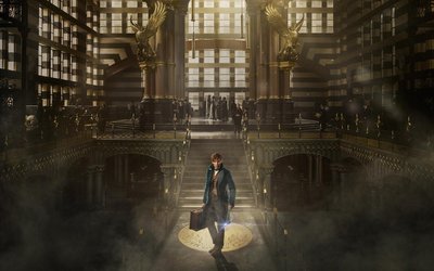 HD Wallpaper Fantastic Beasts and Where to Find Them featuring Eddie Redmayne  1080p Movie Harry Potter