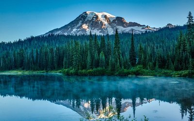 SnowCapped Mountain Surrounded by Trees Near Body of Water HD Wallpaper in 1080p