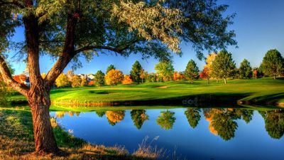 Stunning WQHD and HD Wallpaper Green Leafed Trees Grass Lawn Nature Landscape in Fall