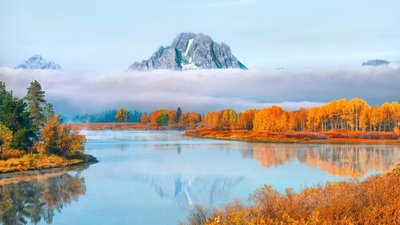 HD Wallpaper Brown Trees and Blue Body of Water with Gray Mountains and White Clouds