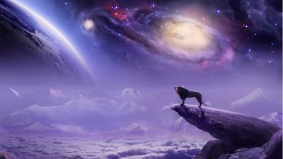 Roaring Universe HD Wallpaper of Nature Space and Fantasy Art with Lion in Purple Sky  1080p