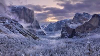 HD Wallpaper Snowcovered Forest Trees in Yosemite National Park  1080p Natural Scenic Beauty for Desktop and Mobile