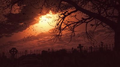 4K HD Wallpaper Silhouette of Bare Tree at Night  Fan Art Cemetery Sunset  Fantasy Art