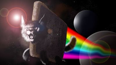 Colorful and Humorous Nyan Cat Wallpaper in HD Digital Art Space Art Animals and LSD