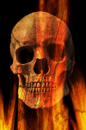 Mobile HD Wallpaper Skull and Crossbones  Skeleton Scary Halloween Theme  Free Download 1080P5K