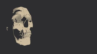 1080p HD Wallpaper Minimalistic White Skeleton on Simple Background  Free Download