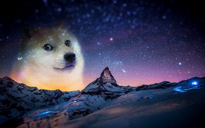 Snow Night Animals Doge Memes HD Wallpaper with Cold Temperature Mountains and Winter