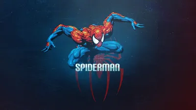 Marvel SpiderMan HD Wallpaper Superhero Vector Illustration in 1080p