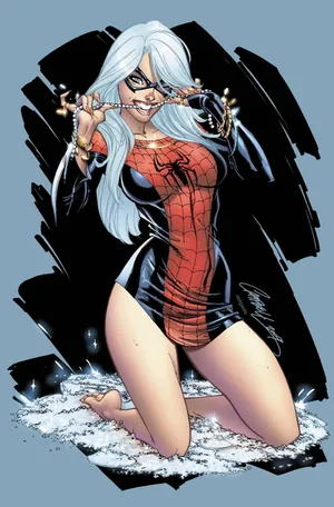 SpiderMan  Black Cat Marvel Comics Art by J Scott Campbell  1031x1566 HD Wallpaper