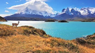 Torres del Paine National Park Wallpaper Stunning HD Image of Chilean Mountains and Scenic Beauty  Free Download  1080p PCMobileTablet Wallpapers