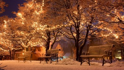 4K HD Winter Snow Christmas Lights Wallpaper Branches Trees and Tranquil Evening Scene