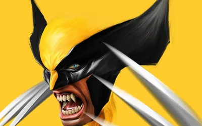 HD Marvel Wolverine Wallpaper Adamantium Claws  Superhero Action  Free Download in 1080P 2K 4K 5K