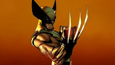 Marvel Wolverine HD Wallpaper by J Scott Campbell  Free Download in 1080P 2K 4K and 5K Resolutions