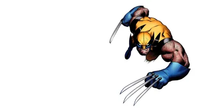 Wolverine Graphic Artwork HD Wallpaper Marvel Comics Studio Shot on White Background  Free Download for Desktop  Mobile