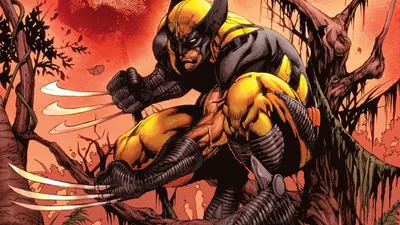 Download Free XMen Wolverine Marvel Comics HD Wallpaper for Desktop  Mobile  1920x1080px